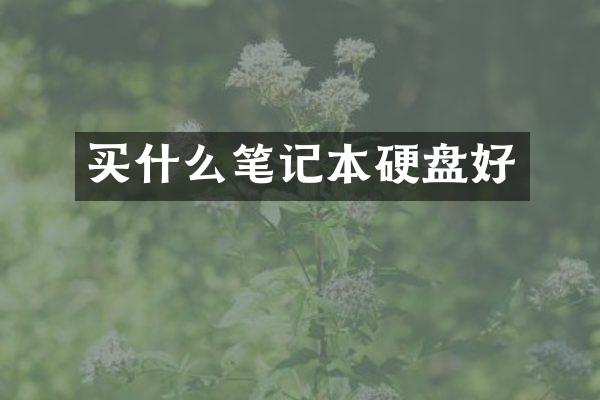 笔记本硬盘好