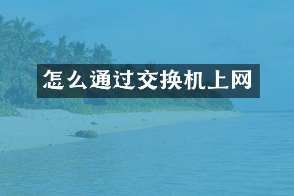 怎么通过交换机上网