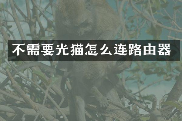 不需要光猫怎么连路由器