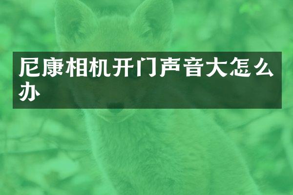 尼康相机开门声音大怎么办