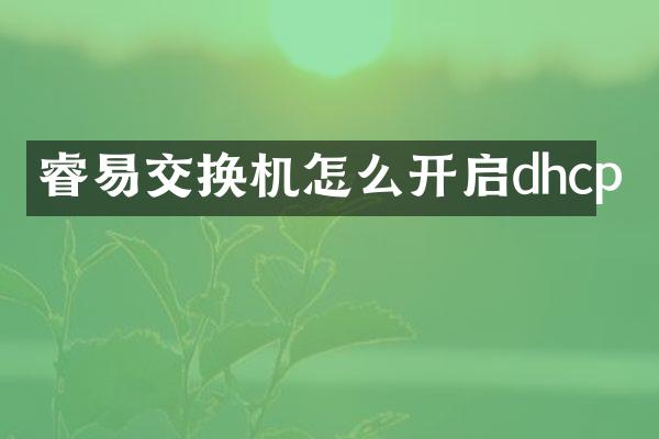 睿易交换机怎么开启dhcp