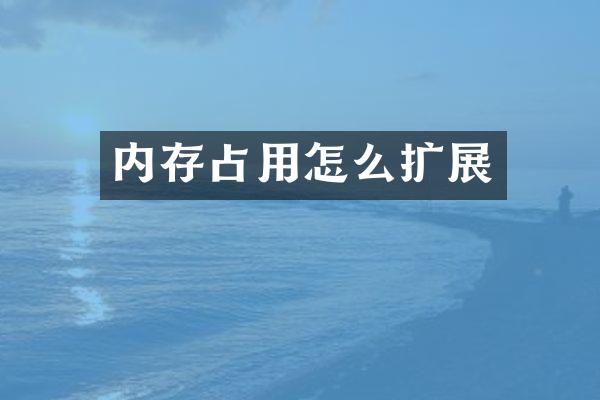 内存占用怎么扩展