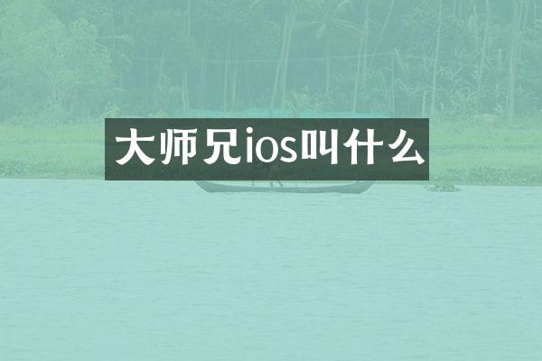 大师兄ios叫什么