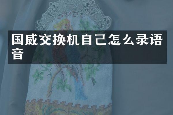国威交换机自己怎么录语音