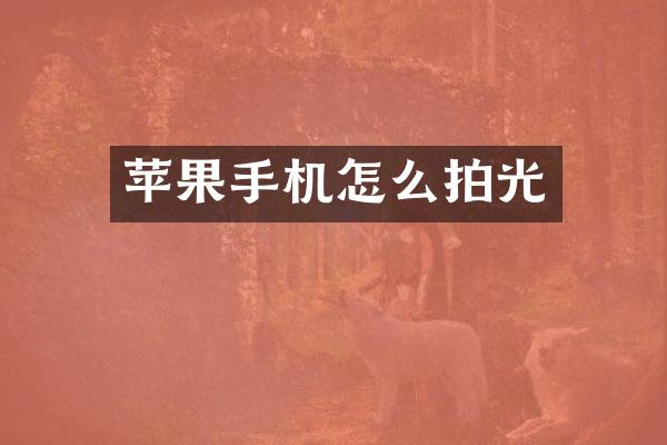 苹果手机怎么拍光