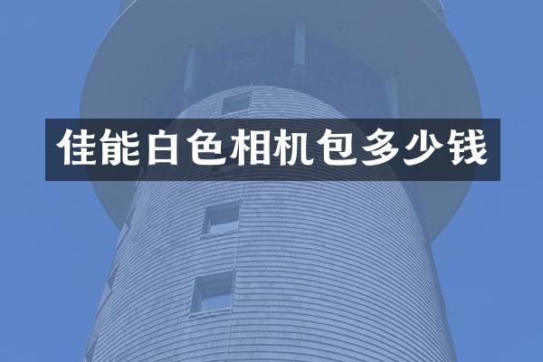 佳能白色相机包多少钱