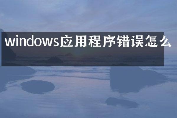 windows应用程序错误怎么弄