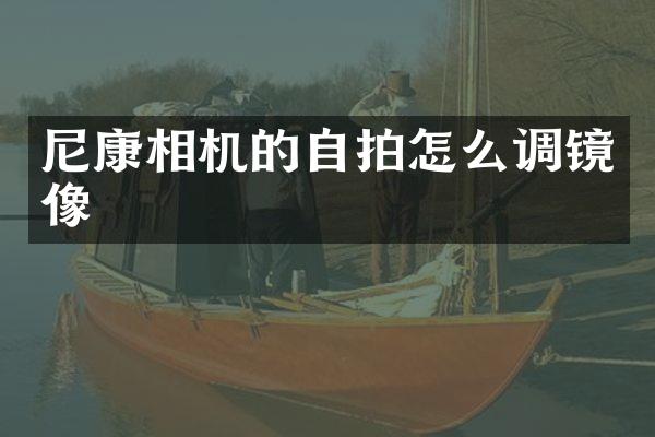 尼康相机的怎么调镜像