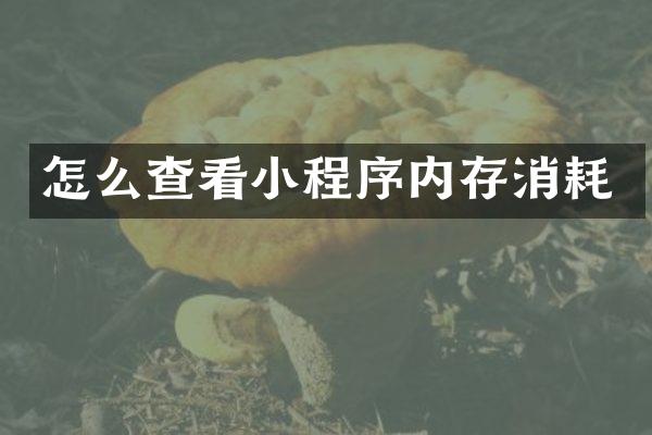 怎么查看小程序内存消耗