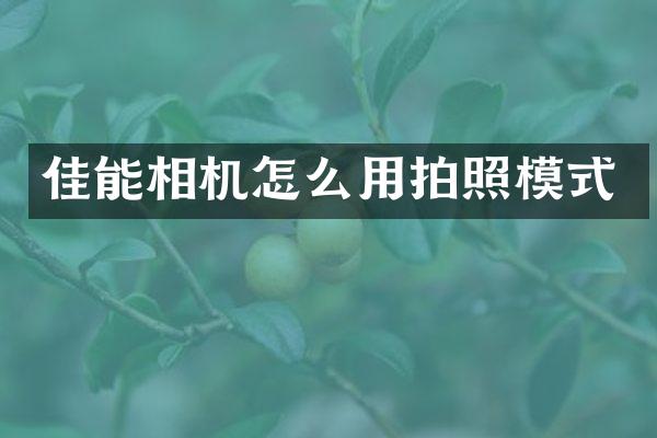 佳能相机怎么用拍照模式