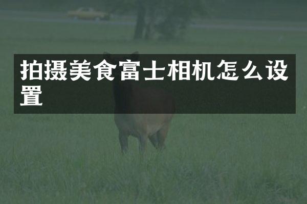 拍摄美食富士相机怎么设置
