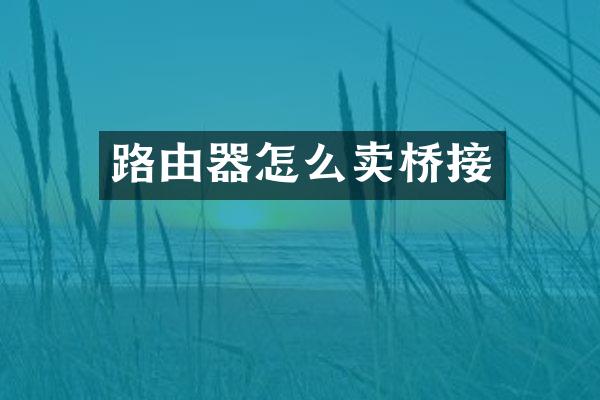 路由器怎么卖桥接