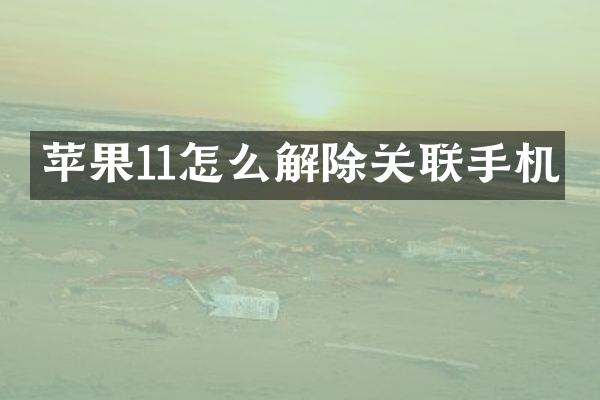 苹果11怎么解除关联手机