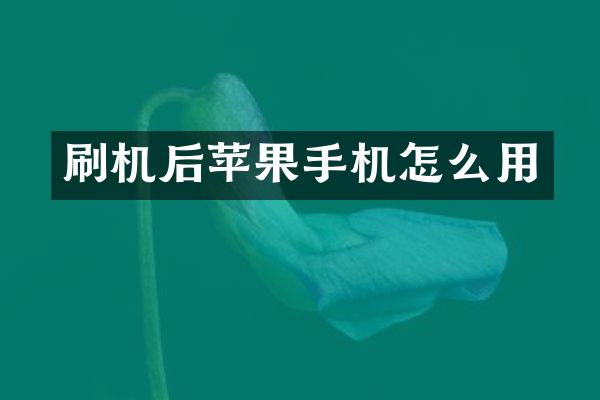 刷机后苹果手机怎么用