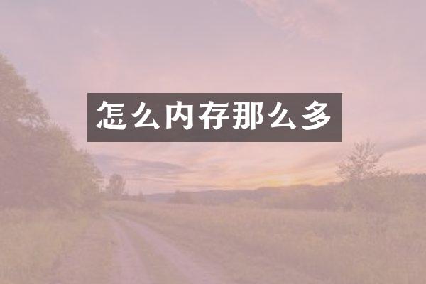 怎么内存那么多