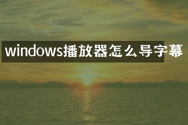 windows播放器怎么导字幕