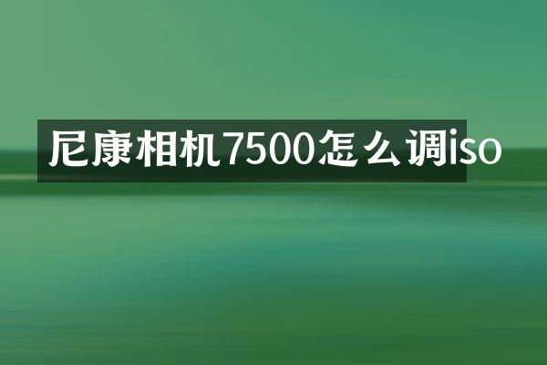 尼康相机7500怎么调iso