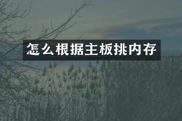 怎么根据主板挑内存