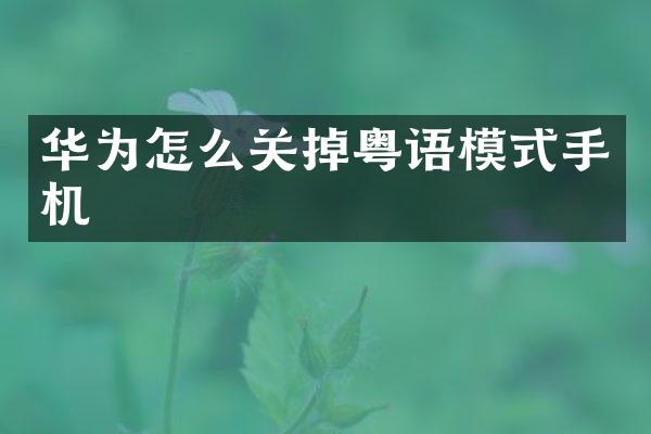 华为怎么关掉粤语模式手机