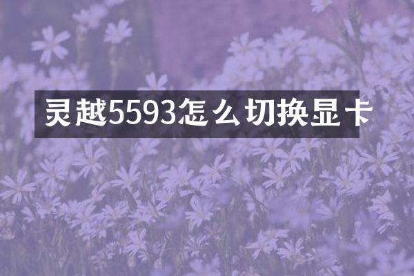 灵越5593怎么切换显卡