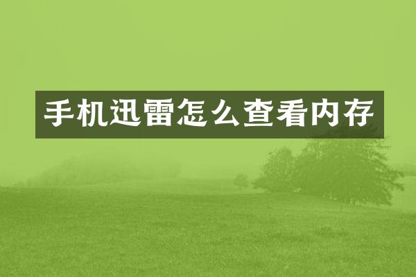 手机迅雷怎么查看内存