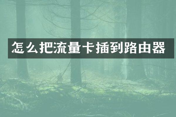 怎么把流量卡插到路由器