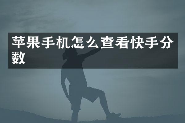 苹果手机怎么查看快手分数