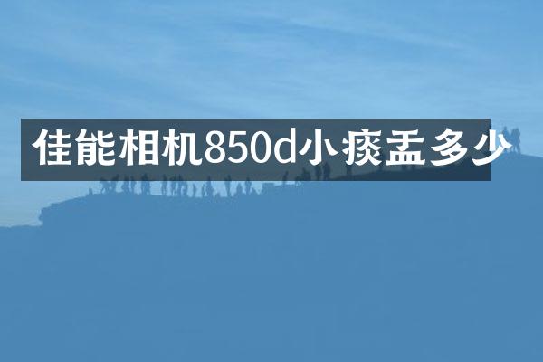 佳能相机850d小痰盂多少