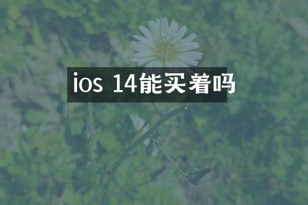 ios 14能买着吗