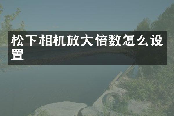 相机放大倍数怎么设置