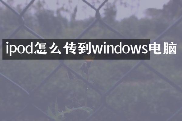 ipod怎么传到windows电脑