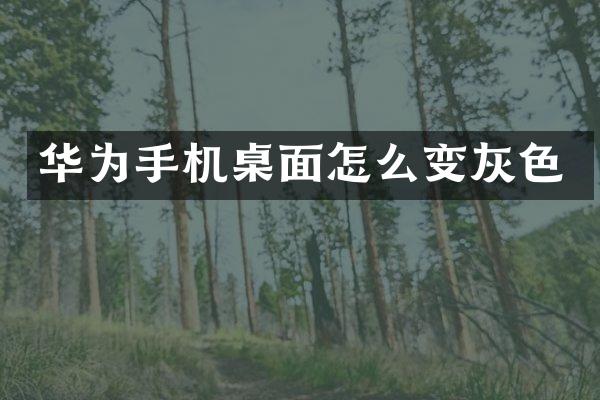 华为手机桌面怎么变灰色