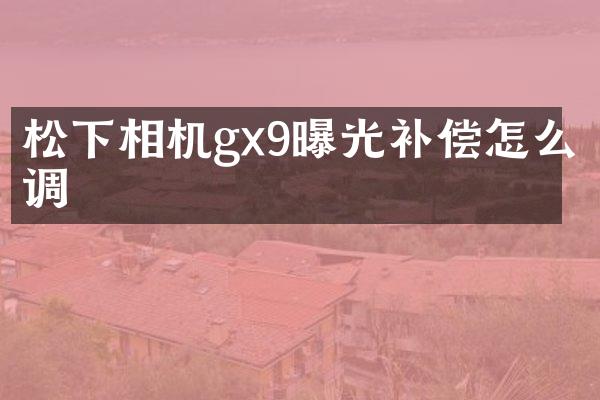 相机gx9曝光补偿怎么调
