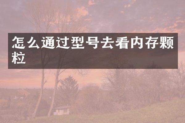 怎么通过型号去看内存颗粒