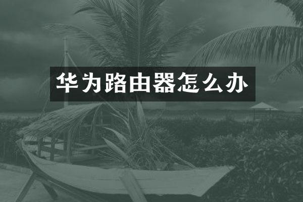 华为路由器怎么办