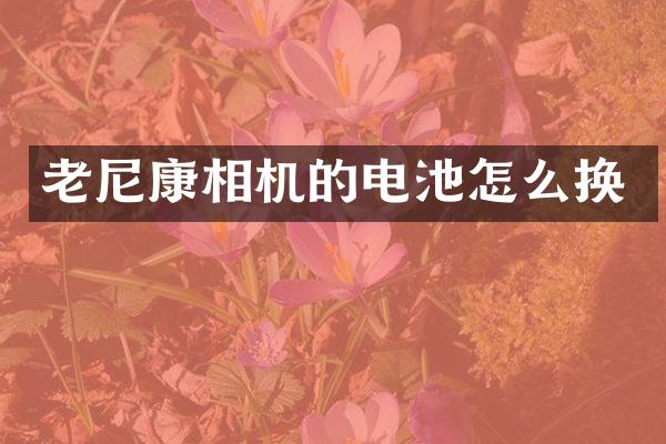 老尼康相机的电池怎么换