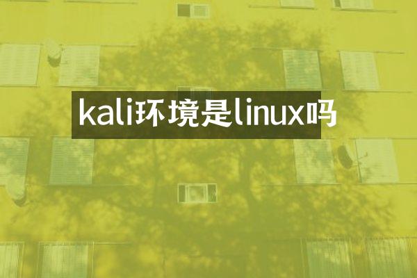 kali环境是linux吗