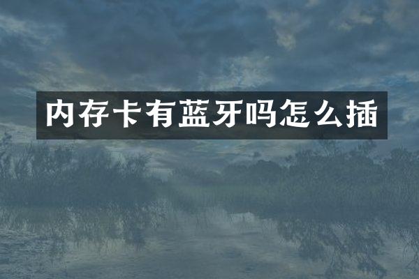 内存卡有蓝牙吗怎么插