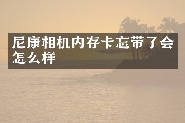 尼康相机内存卡忘带了会怎么样