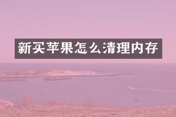 新买苹果怎么清理内存