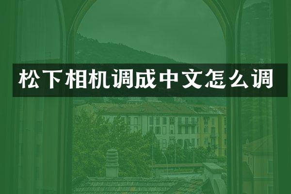 相机调成中文怎么调