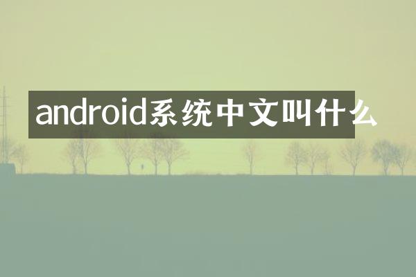 android系统中文叫什么