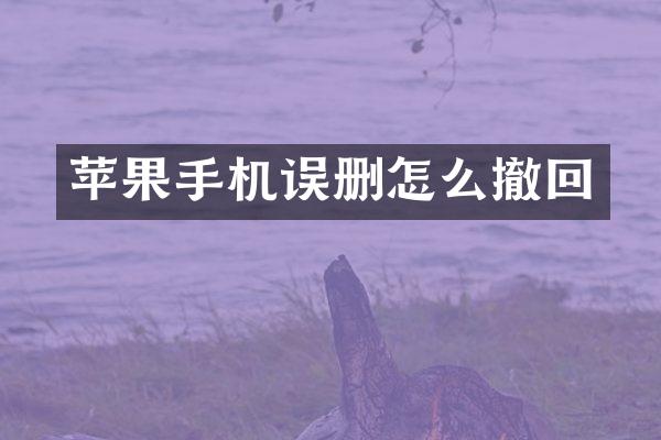 苹果手机误删怎么撤回