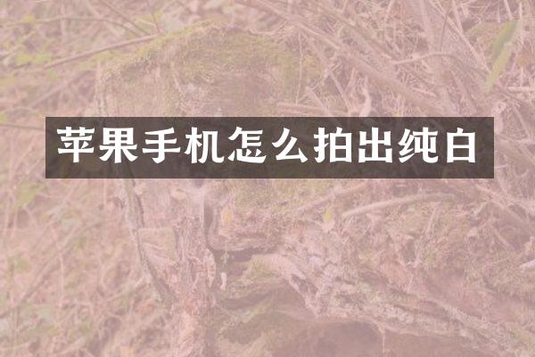 苹果手机怎么拍出纯白