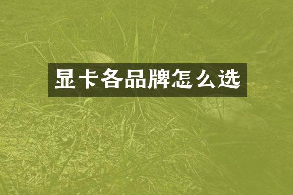 显卡各品牌怎么选