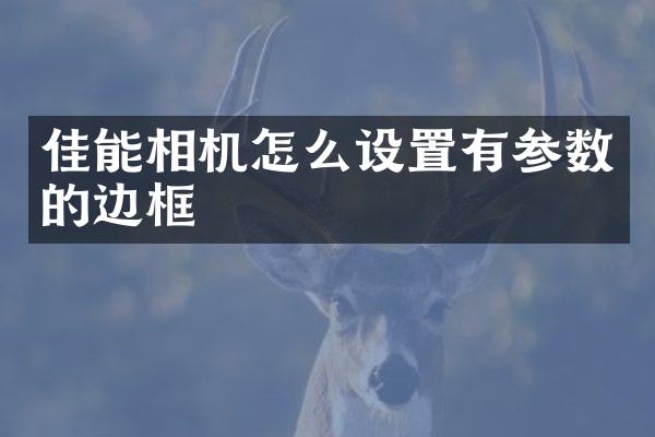 佳能相机怎么设置有参数的边框