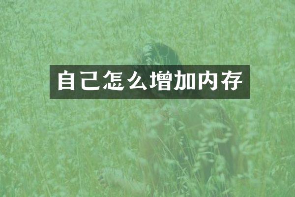 自己怎么增加内存