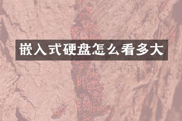 嵌入式硬盘怎么看多大