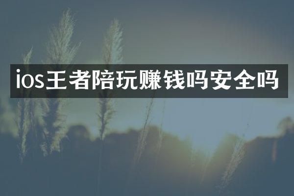 ios王者陪玩赚钱吗安全吗