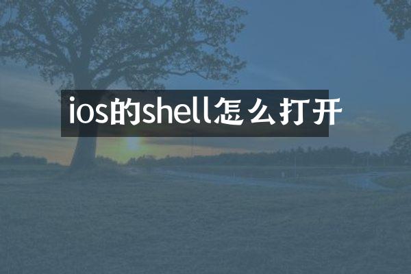 ios的shell怎么打开